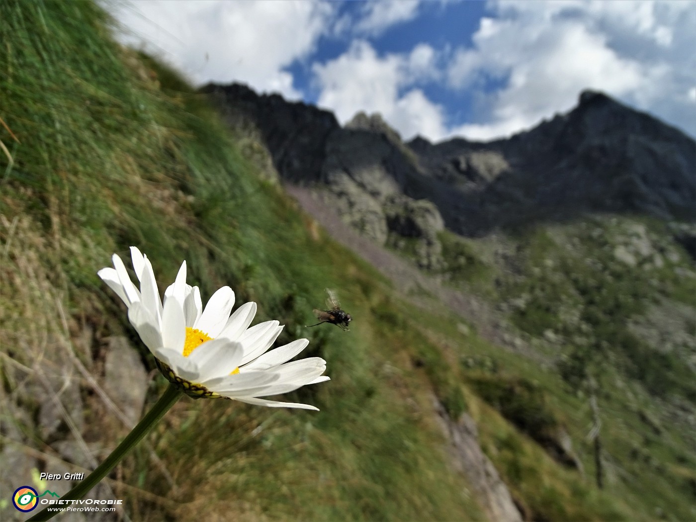 04 Al Passo del Forcellino (2127 m) .JPG